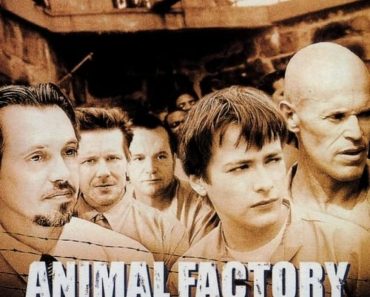 Download Animal Factory (2000) Dual Audio (Hindi-English) 480p [300MB] || 720p [1GB]