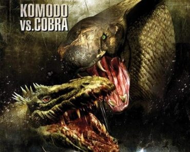 Download Komodo Vs. Cobra (2005) Dual Audio (Hindi-English) 480p [300MB] || 720p [1GB]