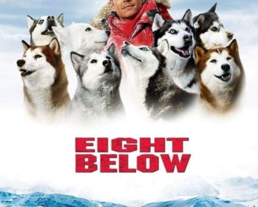 Download Eight Below (2006) Dual Audio (Hindi-English) 480p [400MB] || 720p [800MB]