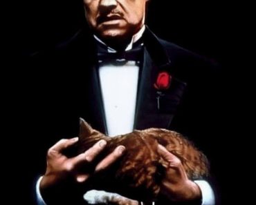 Download The Godfather (1972) Dual Audio {Hindi-English} 480p [400MB] || 720p [1GB] || 1080p [3.4GB]