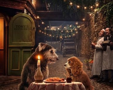 Download Disney+ Lady And The Tramp (2019) (English With Subtitles) 480p [400MB] || 720p [900MB] || 1080p [1.4GB]