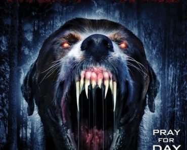 Download Night Of The Wild (2015) Dual Audio (Hindi-English) 480p [270MB] || 720p [700MB]