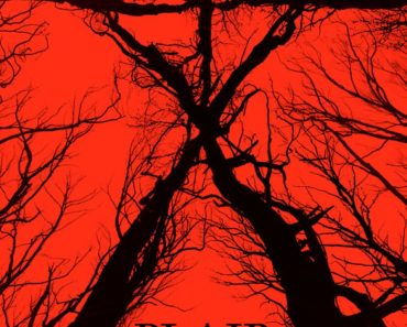 Download Blair Witch (2016) {English With Subtitles} BluRay 480p [400MB] || 720p [850MB]