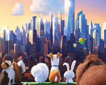 Download The Secret Life Of Pets (2016) {Hindi-English} 480p [350MB] || 720p [850MB] || 1080p [3.2GB]