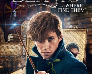 Download Fantastic Beasts And Where To Find Them (2016) {Hindi-English} 480p [450MB] || 720p [1.1GB] || 1080p [2.8GB]