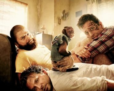 Download The Hangover Part II (2011) Dual Audio {Hindi-English} 480p [300MB] || 720p [1GB] || 720p [2.5GB]
