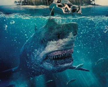 Download Toxic Shark (2017) Dual Audio (Hindi-English) 480p [300MB] || 720p [900MB]