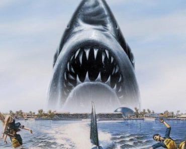 Download Jaws 3-D (1983) Dual Audio {Hindi-English} Esubs Bluray 480p [350MB] || 720p [900MB] || 1080p [2.1GB]