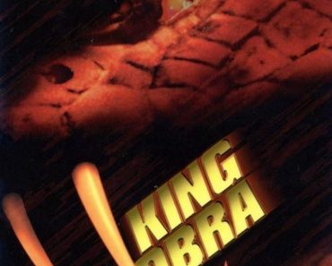 Download King Cobra (1999) Dual Audio (Hindi-English) 480p [300MB] || 720p [1GB]