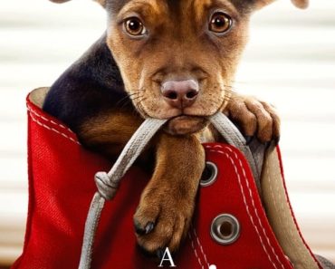 Download A Dog’s Way Home (2019) Dual Audio (Hindi-English) 480p [300MB] || 720p [800MB] || 1080p [2.3GB]