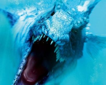 Download Dinoshark (2010) Dual Audio (Hindi-English) 480p [300MB] || 720p [900MB]