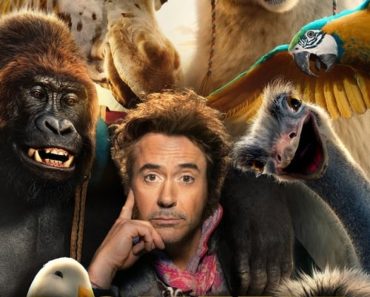 Download Dolittle (2020) Dual Audio (Hindi-English) Bluray 480p [350MB] || 720p [1.1GB] || 1080p [2.8GB]