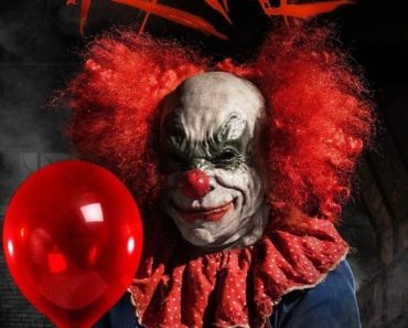 Download Circus Kane (2017) Dual Audio (Hindi-English) 480p [300MB] || 720p [800MB]