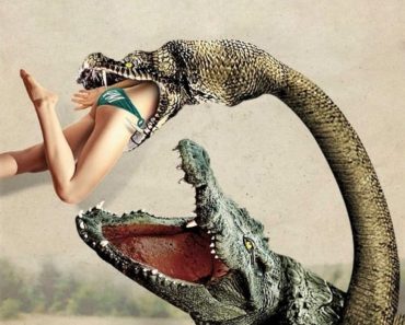Download Lake Placid Vs. Anaconda (2015) Dual Audio (Hindi-English) 480p [300MB] || 720p [800MB] || 1080p [2.83GB]