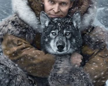 Download Disney+ Togo (2019) (Hindi Dubbed + English) 480p [450MB] || 720p [1GB] || 1080p [1.8GB]