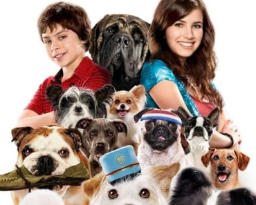 Download Hotel For Dogs (2009) Dual Audio (Hindi-English) 480p [300MB] || 720p [850MB] || 1080p [2GB]