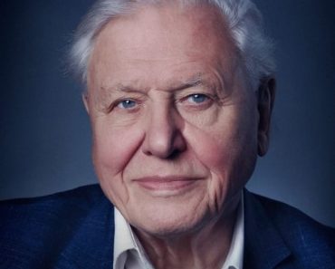 Download NetFlix David Attenborough: A Life On Our Planet (2020) {English With Subtitles} Web-Rip 480p [400MB] || 720p [800MB] || 1080p [1.3GB]