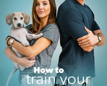 Download How To Train Your Husband (2018) Dual Audio (Hindi-English) 480p [300MB] || 720p [1GB]