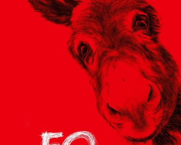 Download EO (2022) {Polish With Subtitles} Bluray 480p [275MB] || 720p [720MB] || 1080p [1.7GB]