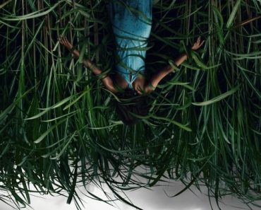 Download In The Tall Grass (2019) (English) 480p [300MB] || 720p [800MB] || 1080p [1.6GB]