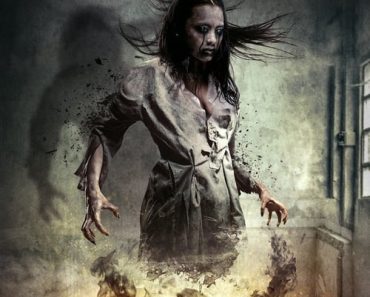 Download The Unwilling (2016) Dual Audio {Hindi-English} WEB-DL ESubs 480p [260MB] || 720p [730MB] || 1080p [1.6GB]