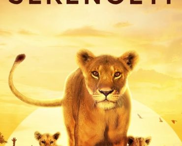 Download Serengeti (Season 1) Dual Audio (Hindi-English) WeB-DL 720p [500MB] || 1080p [1.1GB]