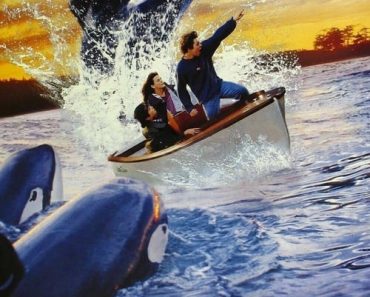 Download Free Willy 2: The Adventure Home (1995) {English With Subtitles} 480p [350MB] || 720p [750MB]