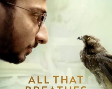Download All That Breathes (2022) Dual Audio {Hindi-English} WEB-DL ESubs 480p [310MB] || 720p [870MB] || 1080p [2GB]