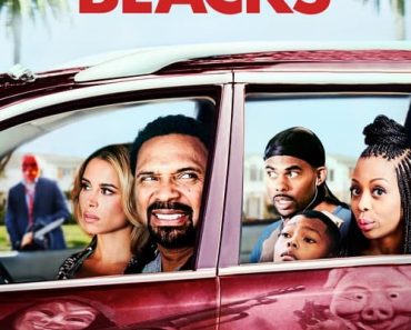 Download Meet The Blacks (2016) Dual Audio {Hindi-English} BluRay 480p [340MB] || 720p [890MB] || 1080p [2GB]