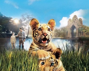 Download Two Brothers (2004) Dual Audio (Hindi-English) 480p [400MB] || 720p [1GB] || 1080p [2.1GB]