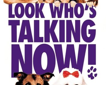 Download Look Who’s Talking Now (1993) Dual Audio (Hindi-English) Msubs WEB-DL 480p [300MB] || 720p [860MB] || 1080p [1.9GB]