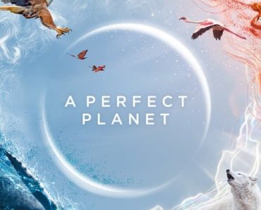 Download A Perfect Planet (Season 1) Dual Audio (Hindi-English) WeB-DL 720p [400MB] || 1080p [1.5GB]