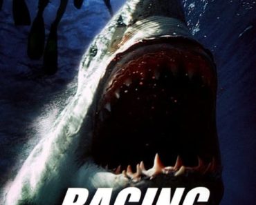 Download Raging Sharks (2005) Dual Audio (Hindi-English) 480p [300MB] || 720p [1GB]
