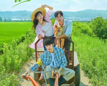 Download Kdrama Once Upon A Small Town (Season 1) [S01E12 Added] {Korean With Subtitles} WeB-DL 720p [200MB] || 1080p [1GB]