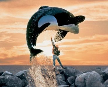 Download Free Willy (1993) {English With Subtitles} 480p [500MB] || 720p [999MB] || 1080p [2.8GB]