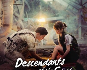 Download Descendants Of The Sun Season 1 (Hindi Audio) Esubs Web-Dl 480p [180MB] || 720p [500MB] || 1080p [1.2GB]