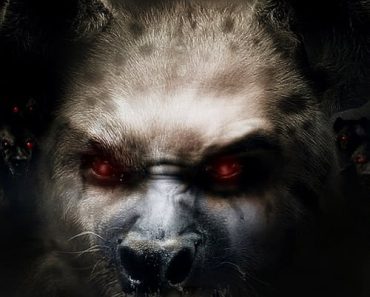 Download Hyenas (2011) Dual Audio (Hindi-English) 480p [300MB] || 720p [600MB]