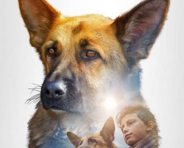 Download Shepherd The Hero Dog (2020) {English Audio} 480p [300MB] || 720p [800MB] || 1080p [1.8GB]