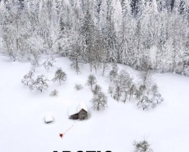 Download Arctic Circle Aka Ivalo Season 2 (Hindi Dubbed) Esubs WeB-DL 720p [500MB] || 1080p [1.3GB]