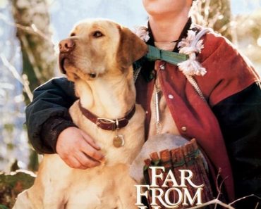 Download Far From Home: The Adventures Of Yellow Dog (1995) (English With Subtitle) Bluray 480p [MB] || 720p [MB] || 1080p [GB]