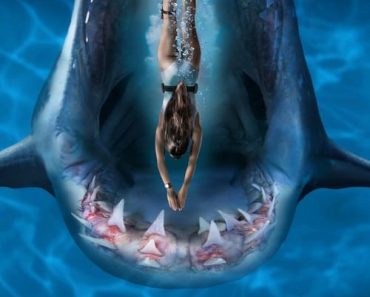 Download Deep Blue Sea 3 (2020) {English With Subtitles} 480p [300MB] || 720p [900MB] || 1080p [1.84GB]