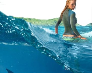 Download The Shallows (2016) Dual Audio (Hindi-English) 480p [300MB] || 720p [1GB] || 1080p [1.4GB]