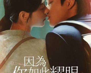 Download The Way You Shine (Season 1) Dual Audio (Hindi-Taiwanese) Esub Web-Dl 480p [150MB] || 720p [425MB] || 1080p [880MB]