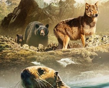 Download Island Of Sea Wolves (Season 1) Dual Audio {Hindi-English} WeB-DL 720p [300MB] || 1080p [2GB]