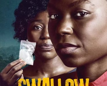 Download Swallow (2021) {English With Subtitles} BluRay 480p [400MB] || 720p [1.0GB] || 1080p [2.5GB]