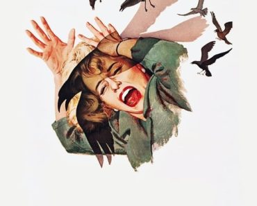 Download The Birds (1963) {Hindi-English} Esubs Bluray480p [410MB] || 720p [1.1GB] || 1080p [2.5GB]