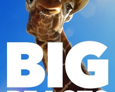 Download Big Beasts (Season 1) {English With Subtitles} WeB-HD 720p [250MB] || 1080p [600MB]