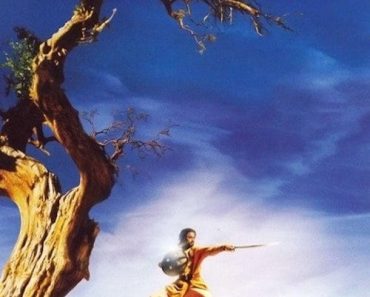Download The Warrior (2001) Dual Audio (Hindi-English) Esubs Bluray 480p [280MB] || 720p [780MB] || 1080p [1.8GB]