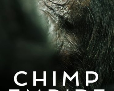 Download Chimp Empire (Season 1) Dual Audio {Hindi-English} With Esubs WeB- DL 720p [400MB] || 1080p [1.1GB]
