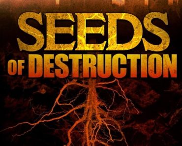 Download Seeds Of Destruction (2011) Dual Audio {Hindi-English} BluRay 480p [300MB] || 720p [1.2GB] || 1080p [2.7GB]